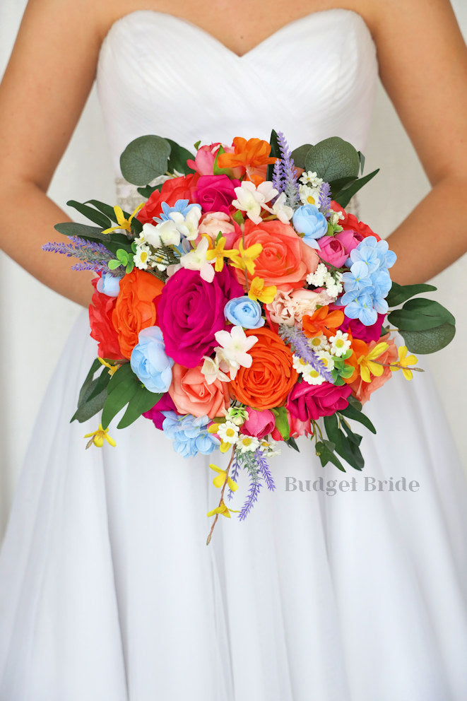 Latilla Collection #2026139- $45 - $260