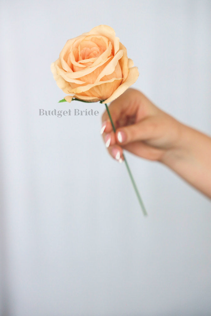 15 Sand Rose Stems - $90.00 – Budget-Bride