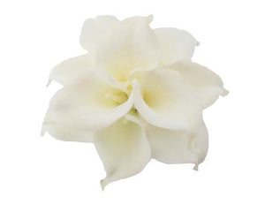 White Calla Stems - #A11 - $17.50