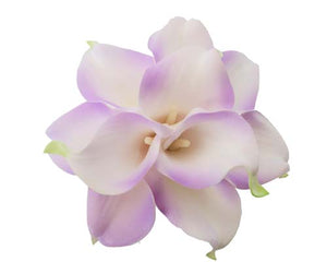 Lavender Tip Calla Stems - #A19 - $17.50