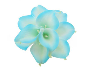 Turquoise Tip Calla Stems - #A1 - $17.50