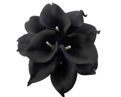 Black Calla Stems - #A25 - $17.50