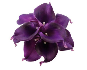 Dark Purple Calla Stems - #A3 - $17.50