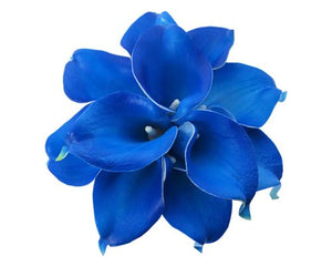 Royal Blue Calla Stems - #A7 - $17.50
