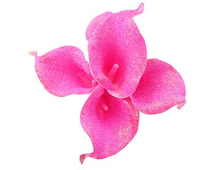 Hot Pink Glitter Calla Stems - #B1 - $42.00