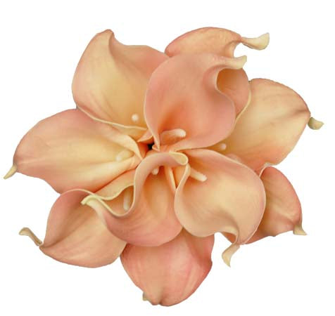 Peach Calla Stems - #A31 - $17.50