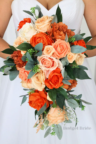 image6_4398a4a6-3101-44fc-84db