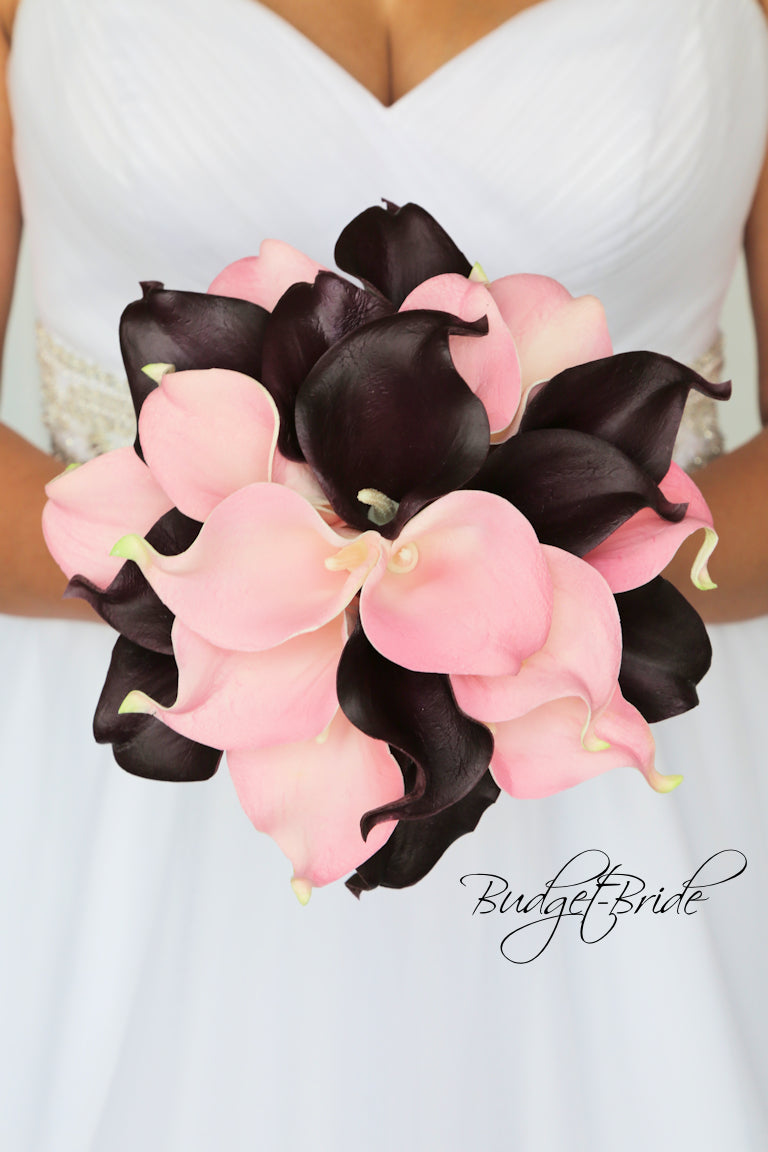 Collection 2017448 15 60 BudgetBride