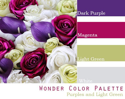 Wonder Color Palette - Elopement Package
